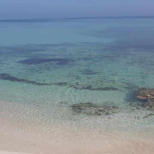 Villa Rosa بونتا روسيا المظهر الخارجي الصورة